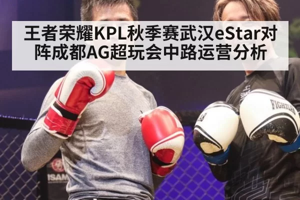王者荣耀KPL秋季赛武汉eStar对阵成都AG超玩会中路运营分析